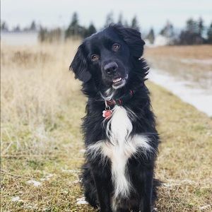 Meet your Posher, Beth